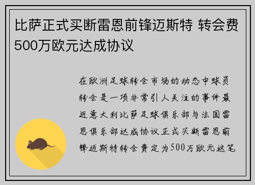 比萨正式买断雷恩前锋迈斯特 转会费500万欧元达成协议
