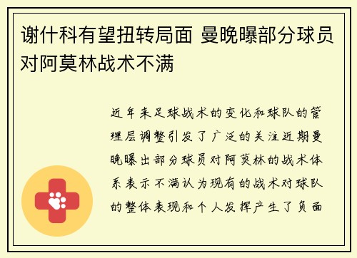 谢什科有望扭转局面 曼晚曝部分球员对阿莫林战术不满