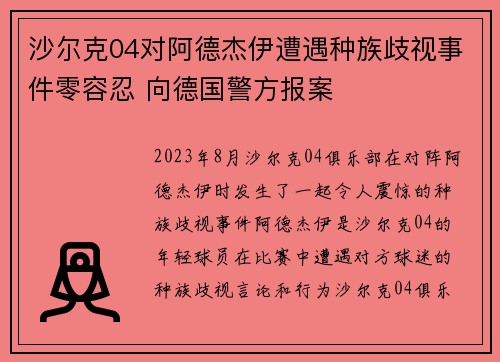 沙尔克04对阿德杰伊遭遇种族歧视事件零容忍 向德国警方报案